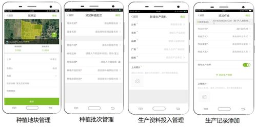 大田智慧农业 1.28亿元数字化服务引领农产品安全生产新纪元