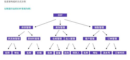 全流程网络技术服务 功能与内容系统化规划指南